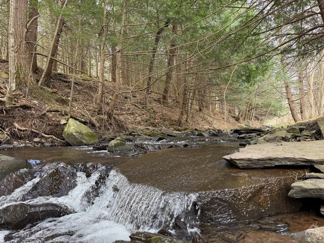 0 Charles Dent, Roxbury, NY 12434