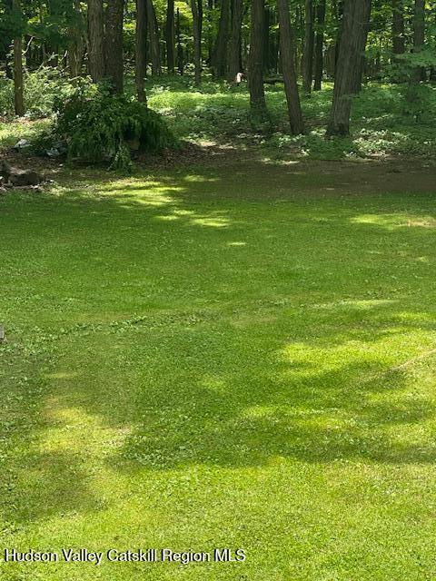 781 Old Rte 23, Acra, NY 12405 - photo 19