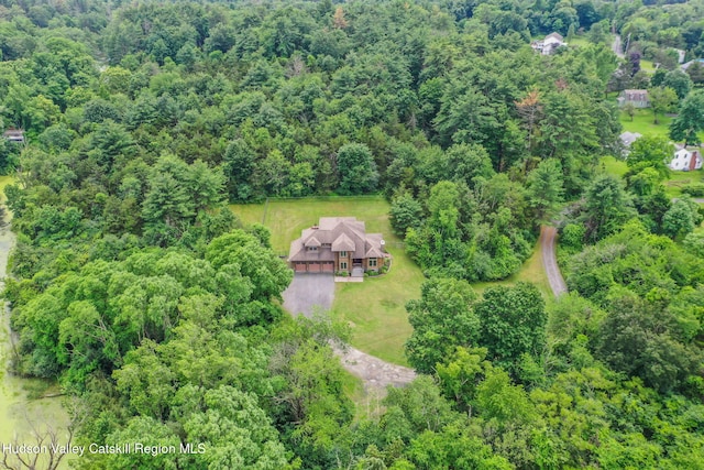 374 Linderman Ave, Kingston, NY 12401 - view from above of property with a forest