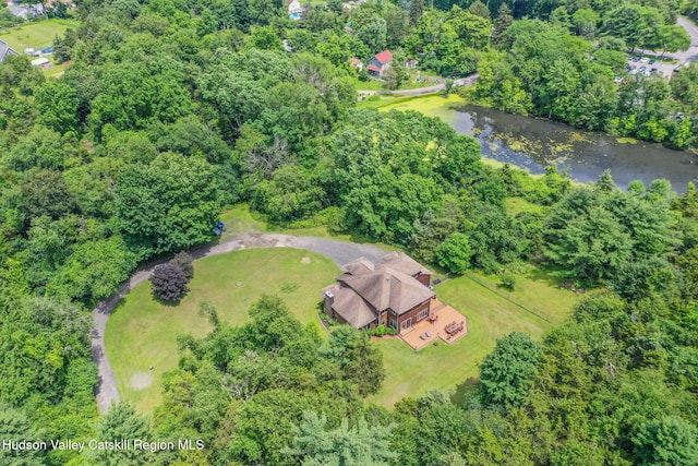 374 Linderman Ave, Kingston, NY 12401 - aerial overview of property's location featuring a large body of water and a forest