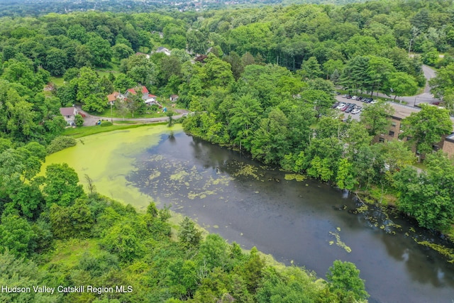 374 Linderman Ave, Kingston, NY 12401 - aerial view of a large body of water and a heavily wooded area