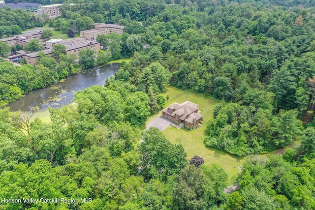 374 Linderman Ave, Kingston, NY 12401 - aerial view of property's location with a forest and a nearby body of water