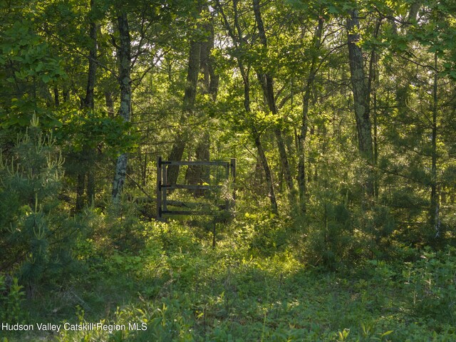 1401 Rte 28a, West Hurley, NY 12491