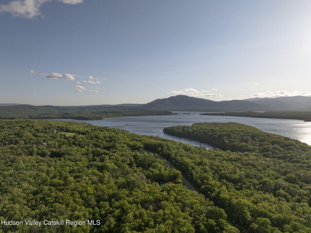 1401 Rte 28a, West Hurley, NY 12491