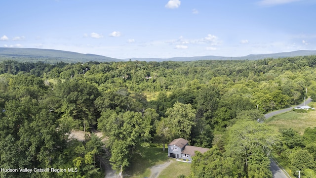 19 Boice Mill Rd, Kerhonkson, NY 12446 - photo 4