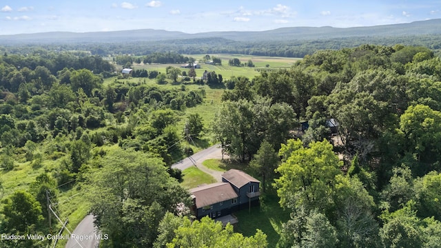 19 Boice Mill Rd, Kerhonkson, NY 12446 - photo 3