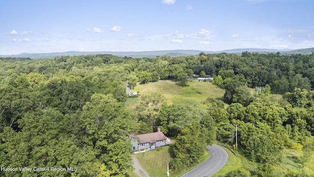 19 Boice Mill Rd, Kerhonkson, NY 12446 - photo 33