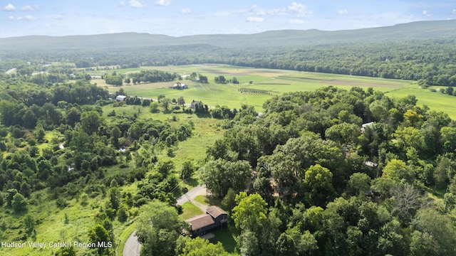 19 Boice Mill Rd, Kerhonkson, NY 12446 - photo 39