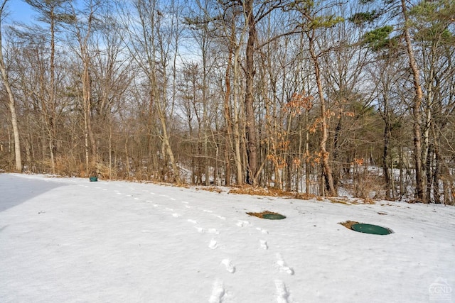 view of yard layered in snow