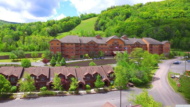 62 Liftside Dr Unit 306F1, Hunter, NY 12442 - aerial perspective of suburban area with a forest