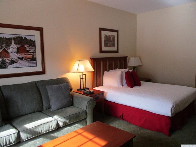 62 Liftside Dr Unit 306F1, Hunter, NY 12442 - bedroom featuring carpet floors