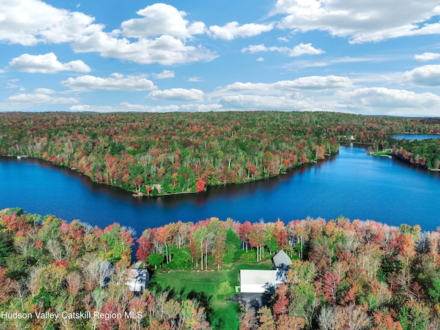 500 Pond View Way, Petersburgh, NY 12138 - photo 5
