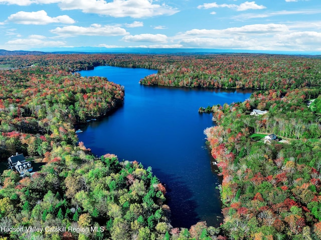 500 Pond View Way, Petersburgh, NY 12138 - photo 62