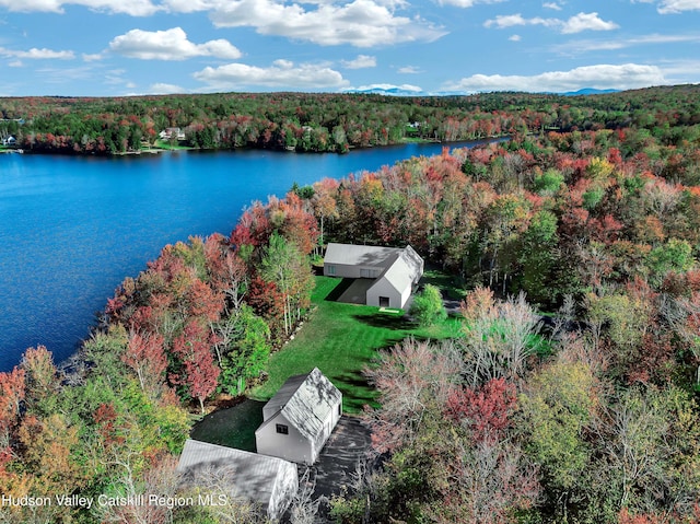 500 Pond View Way, Petersburgh, NY 12138 - photo 61