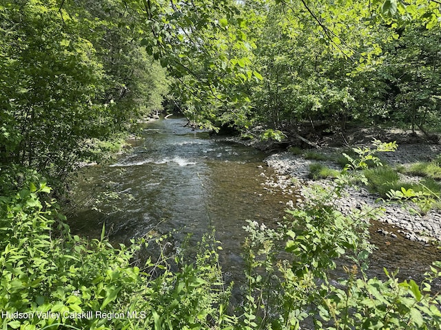 33 Cottonwood Ln, Woodstock, NY 12498 - water view
