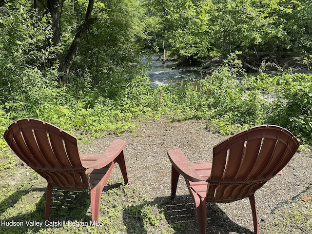 33 Cottonwood Ln, Woodstock, NY 12498 - view of yard