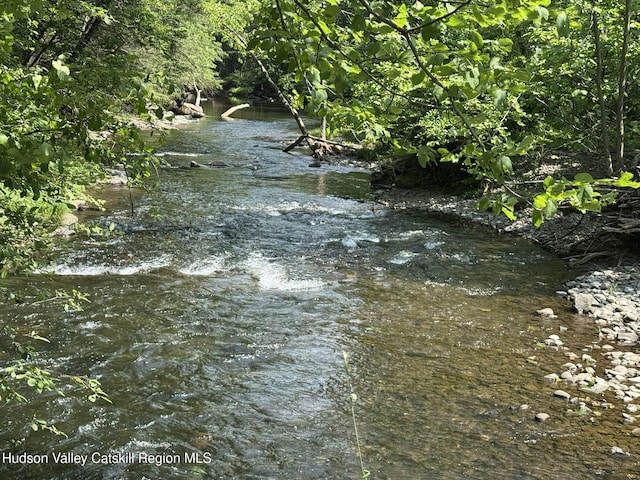33 Cottonwood Ln, Woodstock, NY 12498 - water view