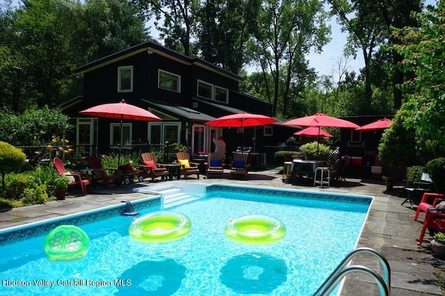 view of swimming pool with a patio