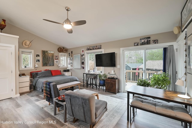 33 Cottonwood Ln, Woodstock, NY 12498 - bedroom featuring access to exterior, light wood finished floors, multiple windows, and vaulted ceiling