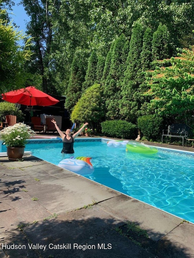33 Cottonwood Ln, Woodstock, NY 12498 - outdoor pool featuring a patio area