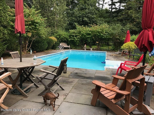33 Cottonwood Ln, Woodstock, NY 12498 - outdoor pool with a patio area and view of scattered trees