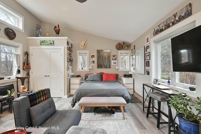 33 Cottonwood Ln, Woodstock, NY 12498 - bedroom featuring lofted ceiling and light wood finished floors