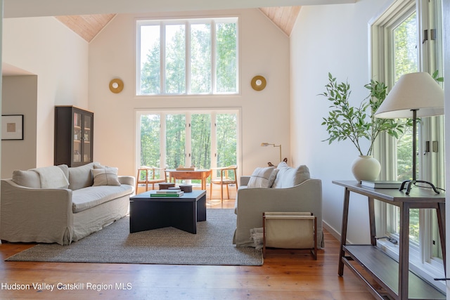 36 Ridgewood Rd, Kerhonkson, NY 12446 - living room with high vaulted ceiling and hardwood / wood-style flooring