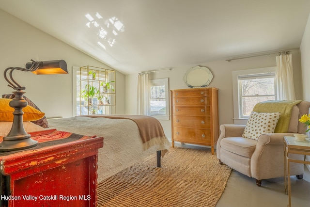 bedroom featuring lofted ceiling and multiple windows