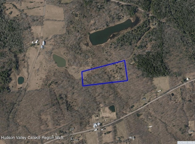 143 Pond View Rd, Conesville, NY 12076