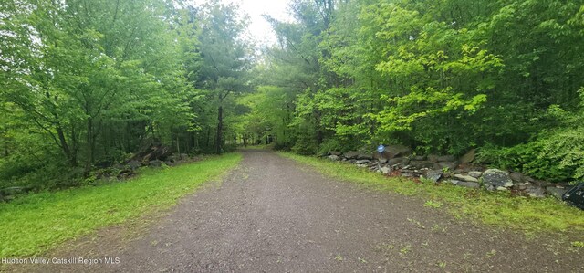 143 Pond View Rd, Conesville, NY 12076
