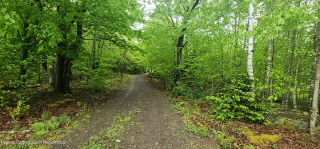 143 Pond View Rd, Conesville, NY 12076