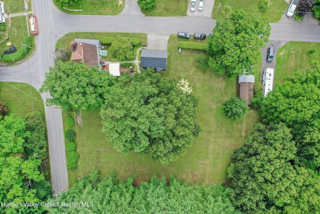 19 Grist Mill Rd, Tillson, NY 12486 - photo 46