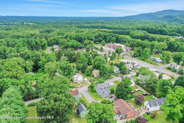 19 Grist Mill Rd, Tillson, NY 12486 - photo 47