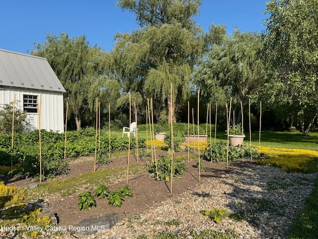 110 County Route 7a, Copake, NY 12516 - view of yard with a garden