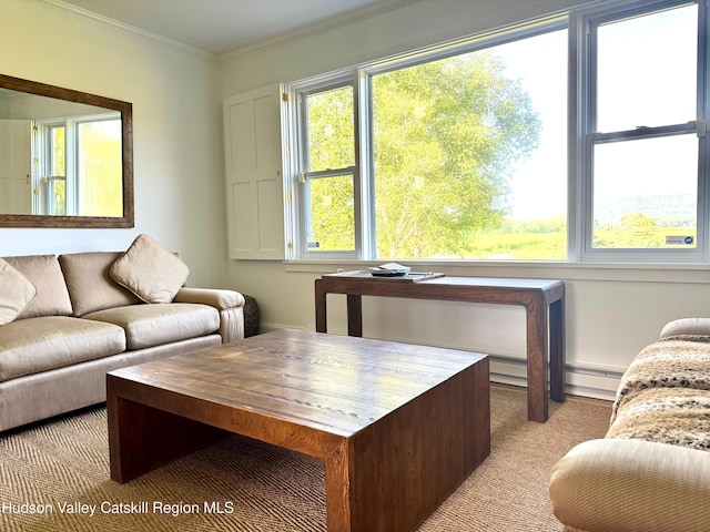 110 County Route 7a, Copake, NY 12516 - living room with light carpet and ornamental molding