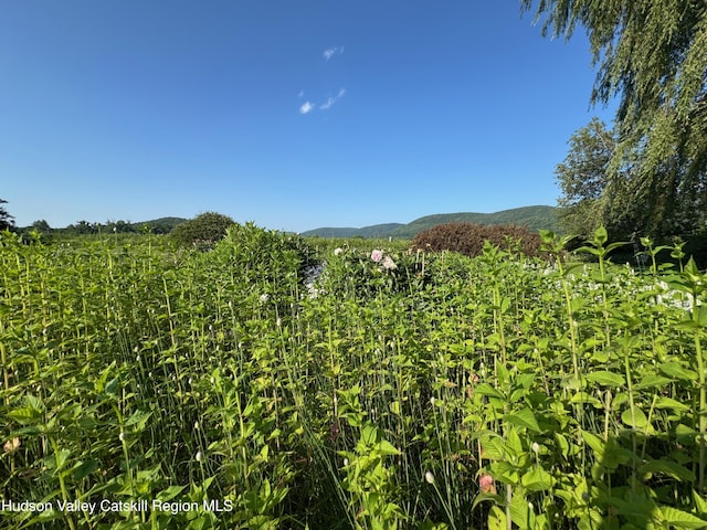 110 County Route 7a, Copake, NY 12516 - mountain view