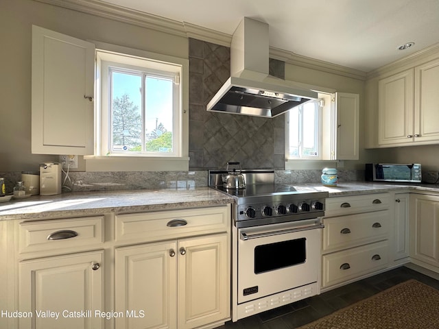 110 County Route 7a, Copake, NY 12516 - kitchen featuring custom range hood, luxury stove, ornamental molding, and dark wood finished floors