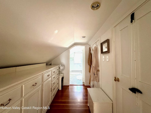 110 County Route 7a, Copake, NY 12516 - bathroom with vaulted ceiling and wood finished floors