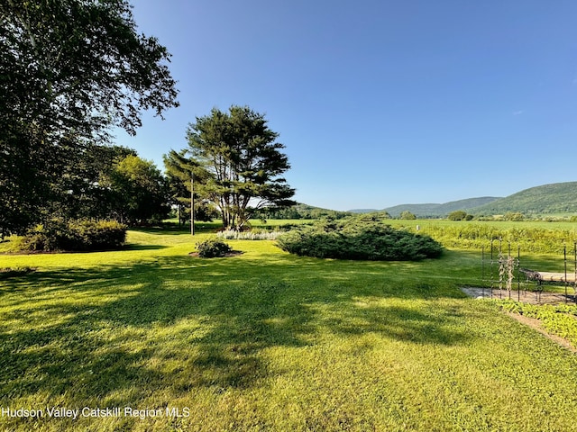 110 County Route 7a, Copake, NY 12516 - view of grassy yard featuring a mountain view and a rural view