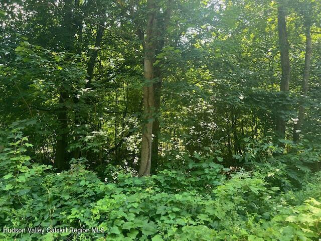7 Ulster Ave, Ulster Park, NY 12487 - photo 2