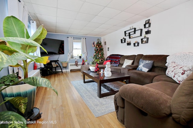 living room with a paneled ceiling and light hardwood / wood-style floors