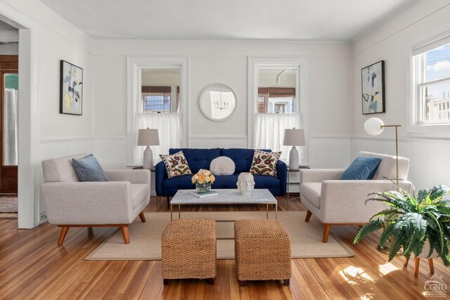 7 Mckinstry Pl, Hudson, NY 12534 - living area featuring light wood-type flooring, baseboard heating, and crown molding