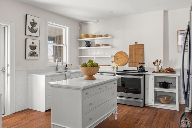 7 Mckinstry Pl, Hudson, NY 12534 - kitchen with appliances with stainless steel finishes, a sink, open shelves, and wood finished floors