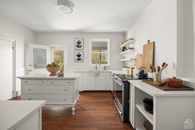 7 Mckinstry Pl, Hudson, NY 12534 - kitchen with open shelves, electric range, a sink, dark wood-style flooring, and light countertops