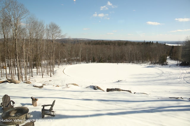 TBD Aden Hill Rd, Neversink, NY 12765 - view of snowy yard