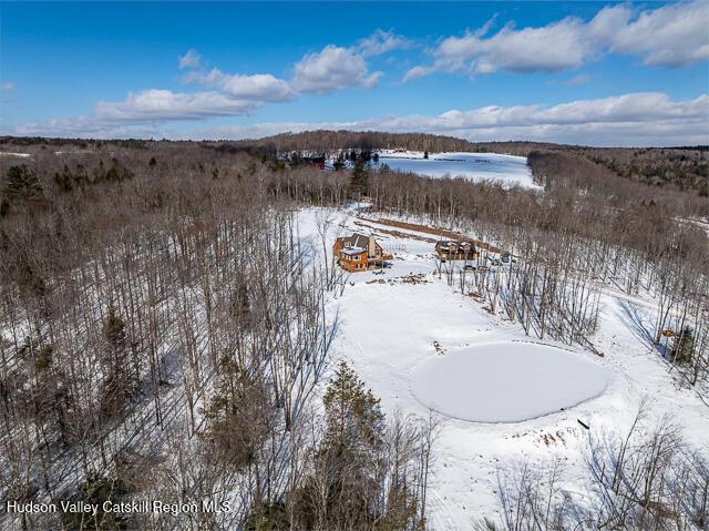 TBD Aden Hill Rd, Neversink, NY 12765 - view of snowy aerial view
