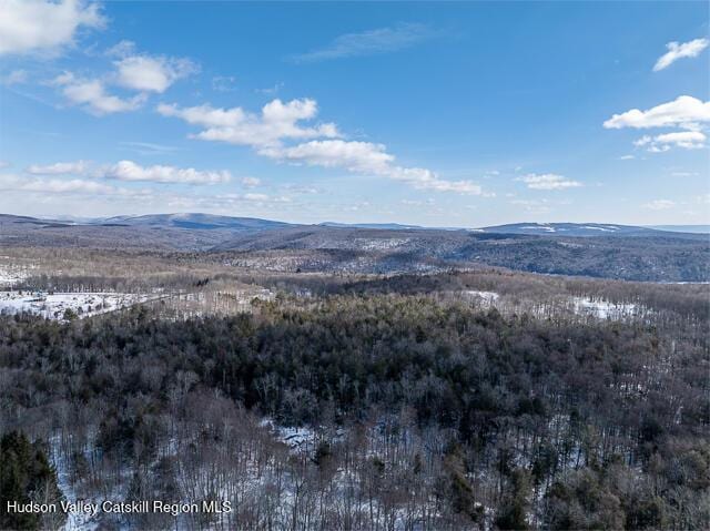 TBD Aden Hill Rd, Neversink, NY 12765 - exterior space featuring outdoor dining space