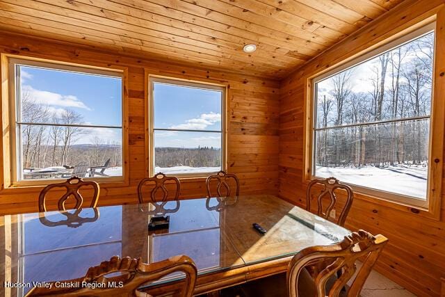 TBD Aden Hill Rd, Neversink, NY 12765 - dining room featuring wooden walls, wooden ceiling, and a wealth of natural light