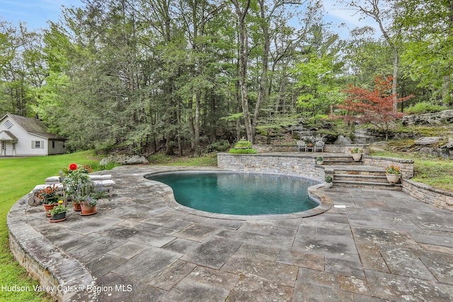 view of pool featuring a patio area