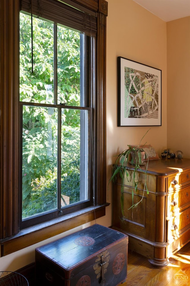 44 Worth Ave, Hudson, NY 12534 - detailed view of wood finished floors